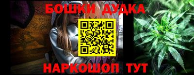 гидра Славгород