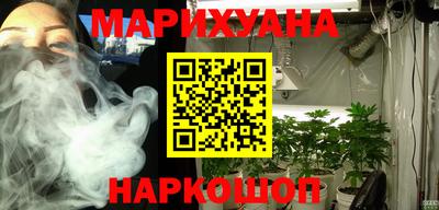 гидра Славгород