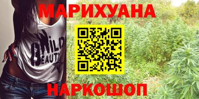 гидра Славгород